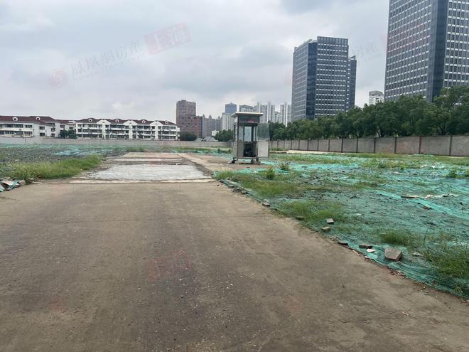 阅售楼处 招商中旅·揽阅发布：炫耀上海!！麻将胡了2模拟器试玩【开售】招商中旅·揽(图11)